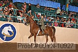 09yn-10927 proof