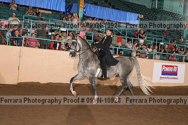 Proof 09yn-10928