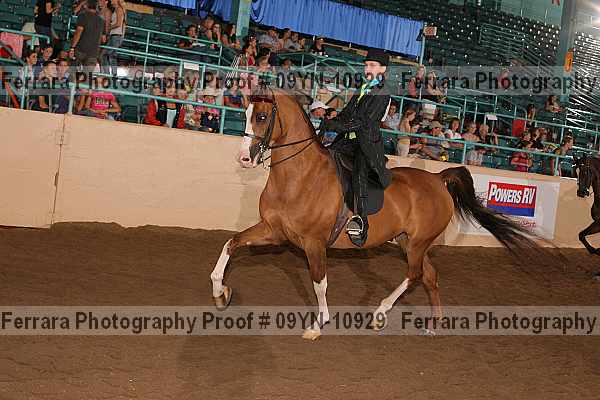 Proof 09yn-10929