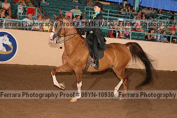 Proof 09yn-10930