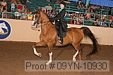 09yn-10930 proof