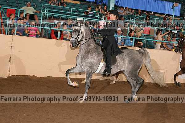 Proof 09yn-10931
