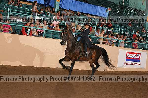 Proof 09yn-10932