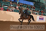 09yn-10932 proof