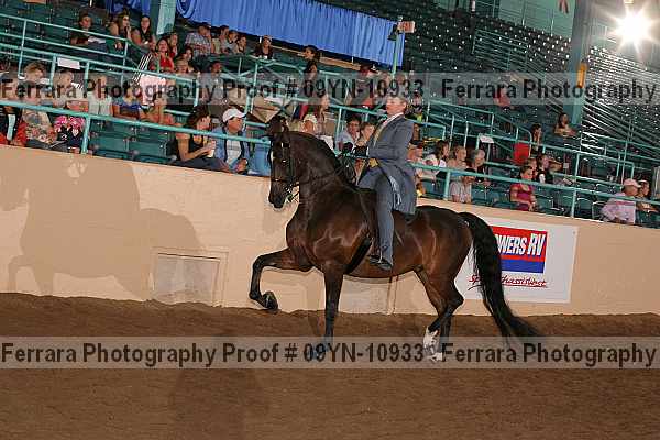 Proof 09yn-10933
