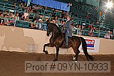 09yn-10933 proof