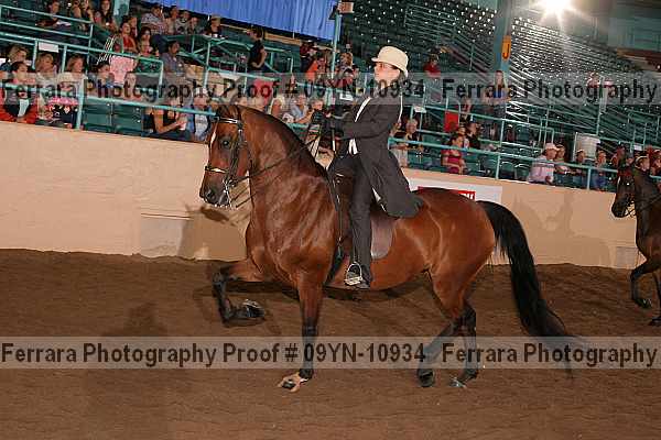Proof 09yn-10934