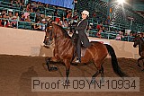 09yn-10934 proof