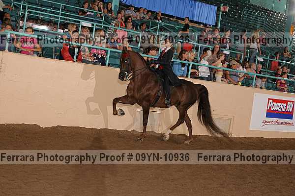 Proof 09yn-10936