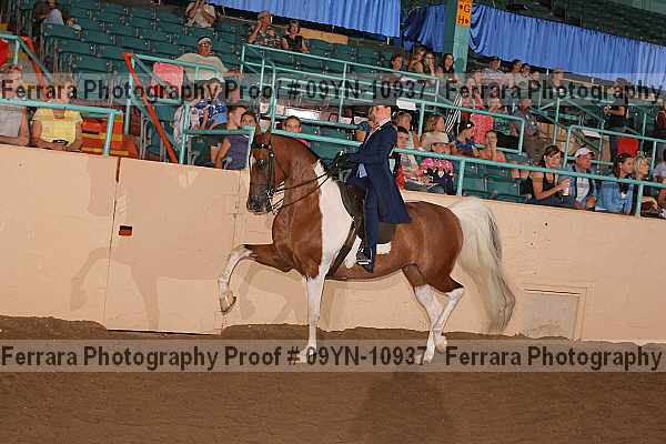 Proof 09yn-10937