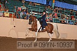 09yn-10937 proof