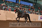 09yn-10938 proof