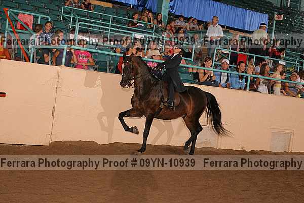 Proof 09yn-10939