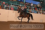 09yn-10939 proof