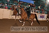 09yn-10940 proof