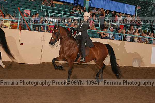 Proof 09yn-10941
