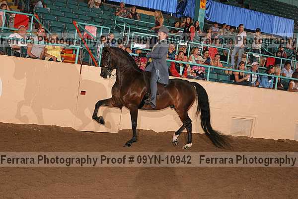 Proof 09yn-10942