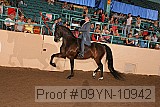 09yn-10942 proof