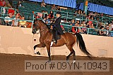 09yn-10943 proof