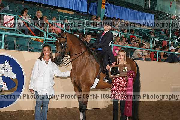 Proof 09yn-10948