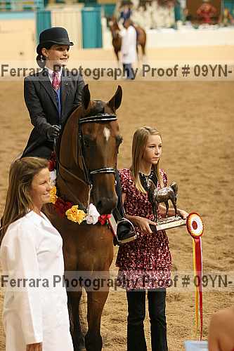 Proof 09yn-10950