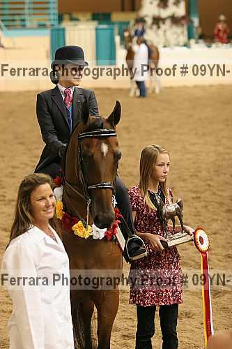 Proof 09yn-10951