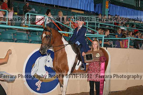 Proof 09yn-10952