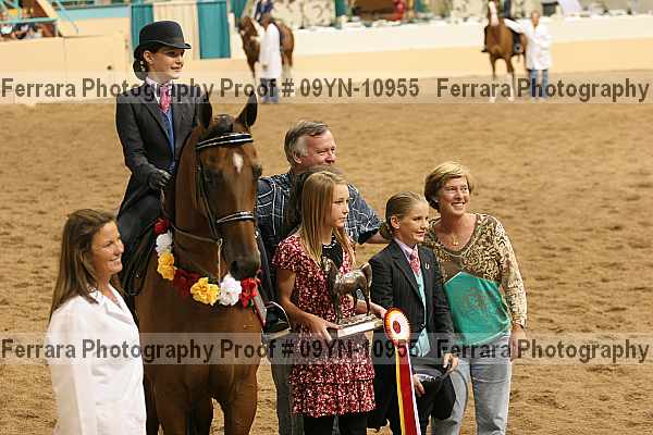 Proof 09yn-10955