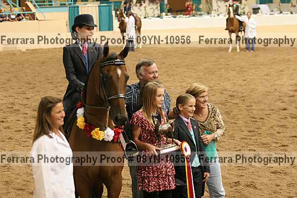 Proof 09yn-10956