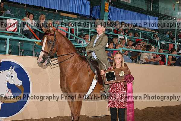 Proof 09yn-10959