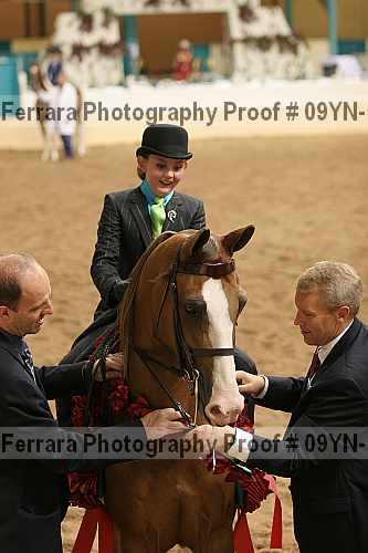 Proof 09yn-10963