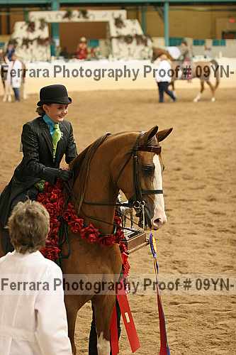 Proof 09yn-10965