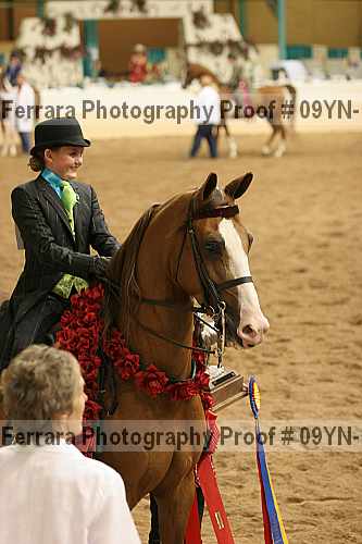 Proof 09yn-10966