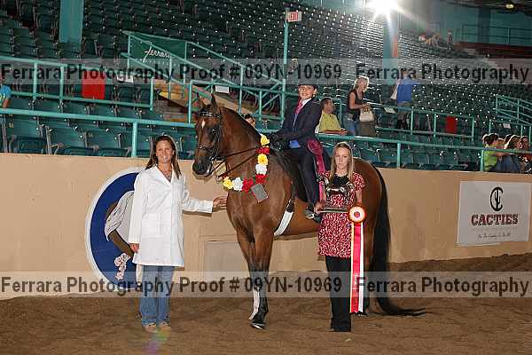Proof 09yn-10969