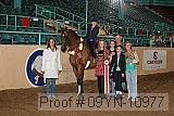 09yn-10977 proof