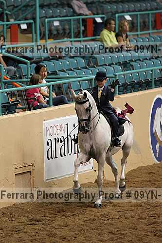 Proof 09yn-10979