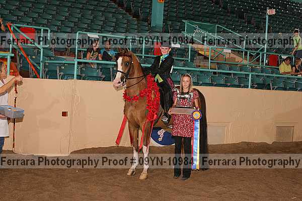 Proof 09yn-10984