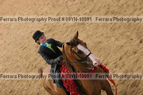 Proof 09yn-10991