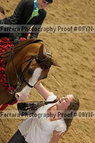 Proof 09yn-10993