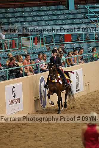 Proof 09yn-10995