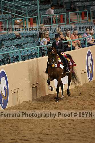 Proof 09yn-10996