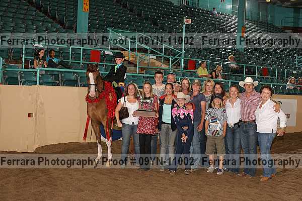 Proof 09yn-11002
