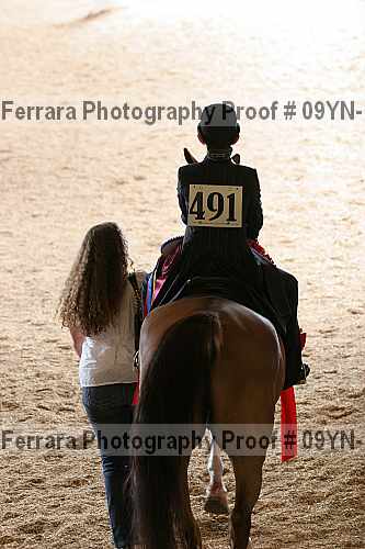 Proof 09yn-11003