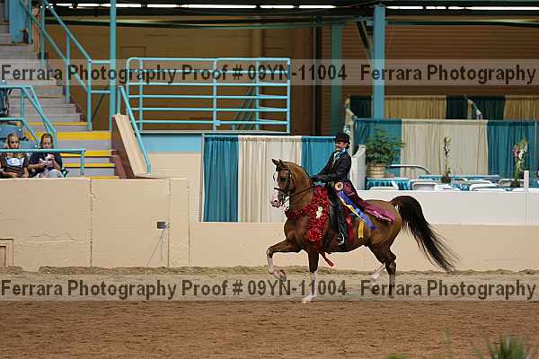Proof 09yn-11004