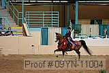 09yn-11004 proof