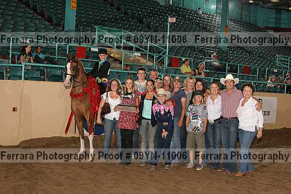 Proof 09yn-11006