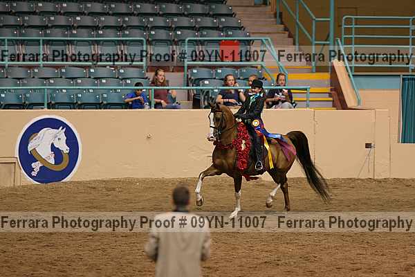 Proof 09yn-11007