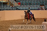 09yn-11009 proof