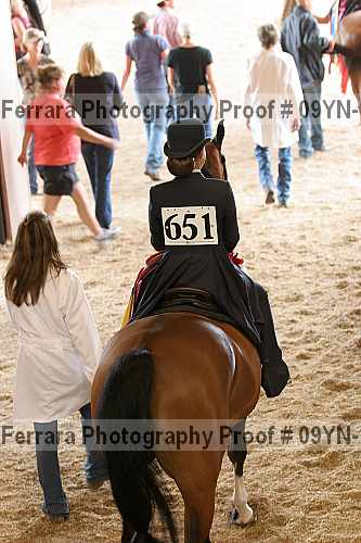Proof 09yn-11013