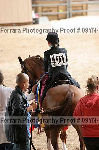 Proof 09yn-11017